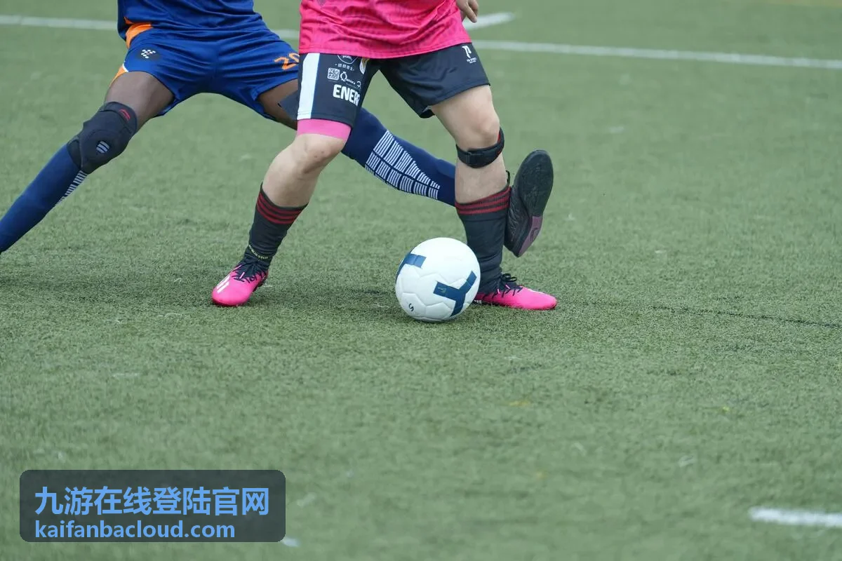 九游在线登陆官网在线提交与进度查询界面